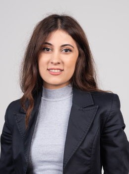 Custom Travel Packages